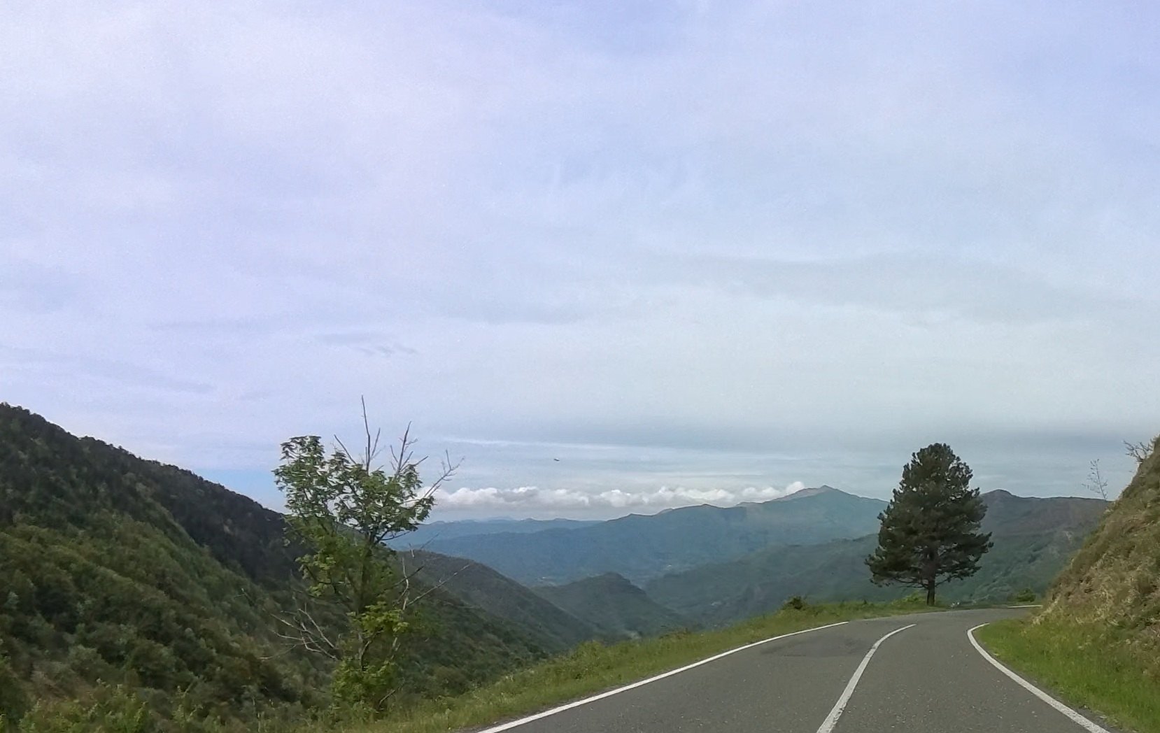 Kurvige Strasse in den Ligurischen Hügeln